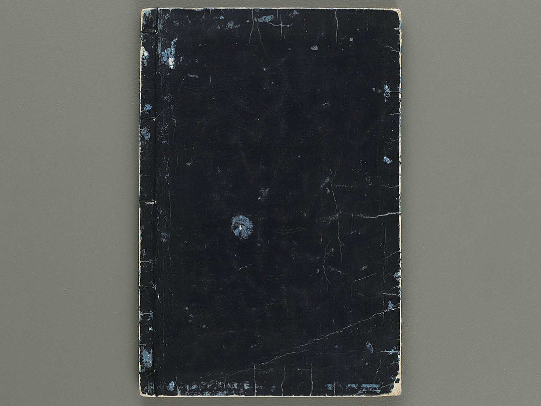 Zushiki hinagata makie taizen Volume 4 by Hokkyo Shunsen / BJ320-677