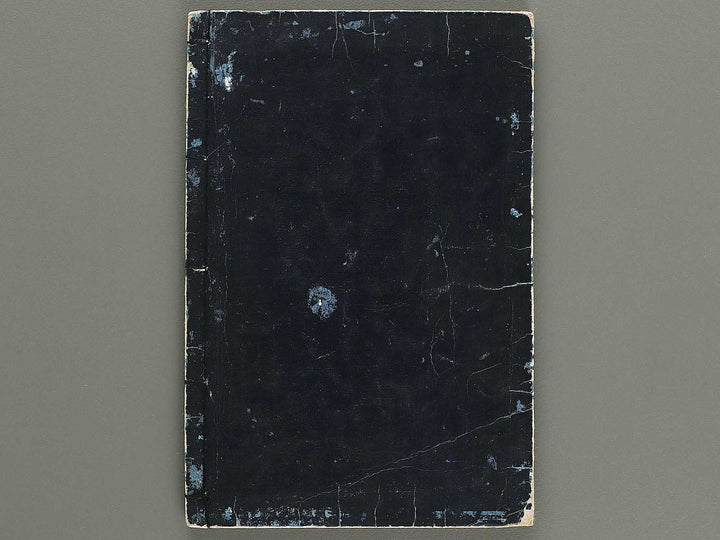 Zushiki hinagata makie taizen Volume 4 by Hokkyo Shunsen / BJ320-677