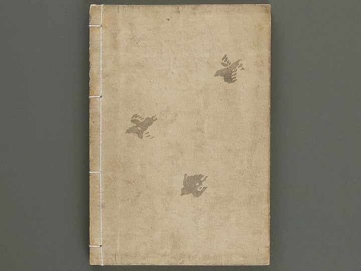 Narumikata Volume 4 by Odagiri Shunko / BJ322-532