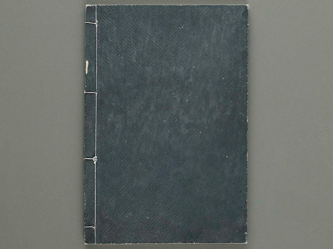 Shinsen taisho hinagata taizen Volume 4 / BJ324-114