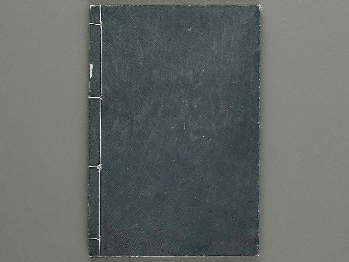 Shinsen taisho hinagata taizen Volume 4 / BJ324-114