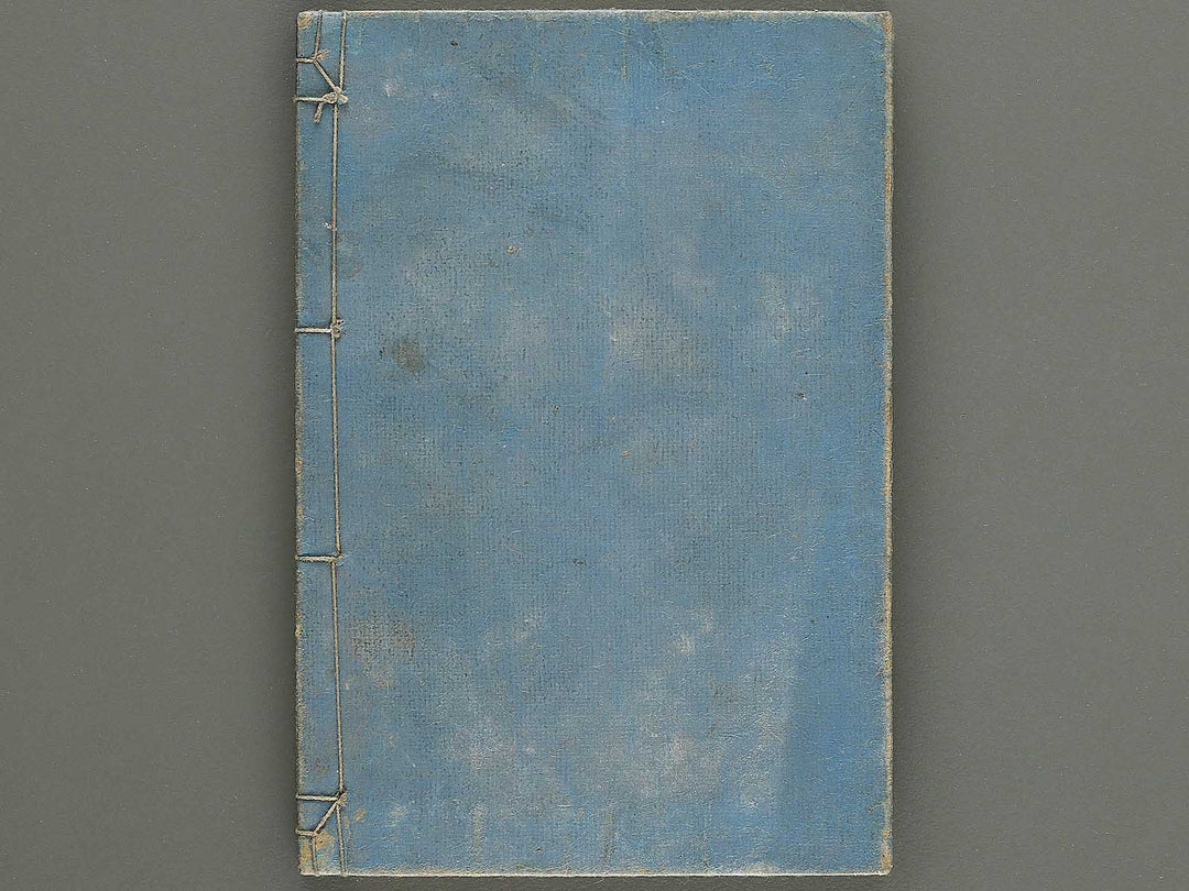 Shoryu hiden ikebana dokushu jizai Volume 3 / BJ332-752