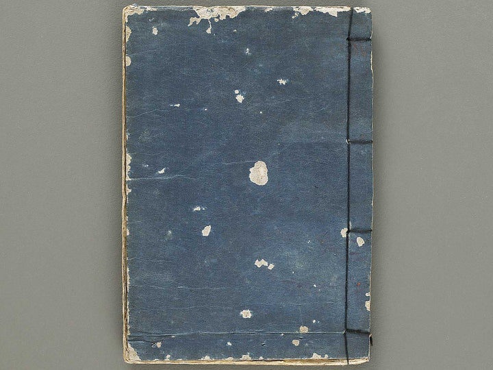 Yodogawa ryogan itiran (Noborifune no bu, gekan by Matsukawa Hanzan / BJ331-625