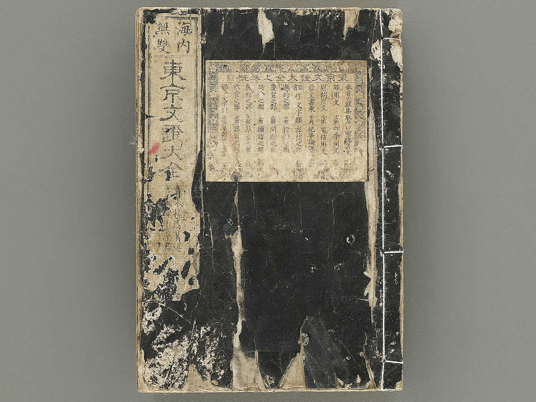 Tokyo bunsho taizen (Jo) by Kawanabe Kyosai / BJ353-829