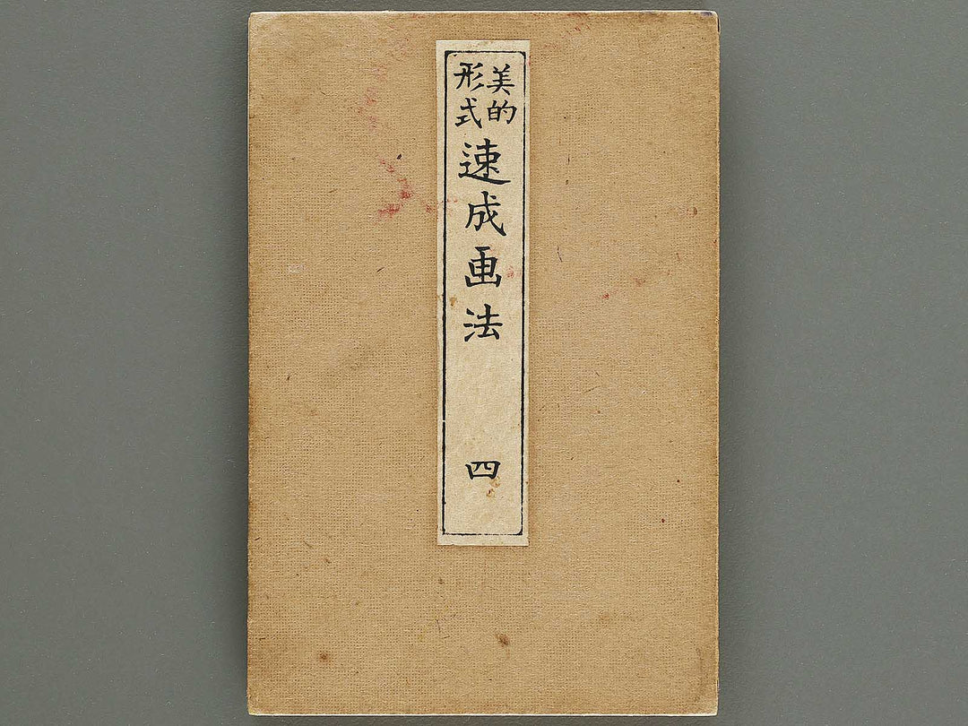 Biteki keishiki sokusei gaho Volume 4 by Matsuda Kajo / BJ333-872