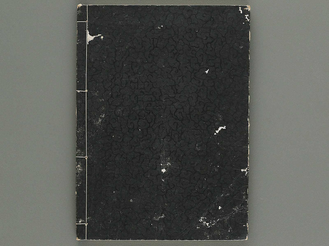 Iccho gafu (Chu) by Hanabusa Iccho / BJ343-637