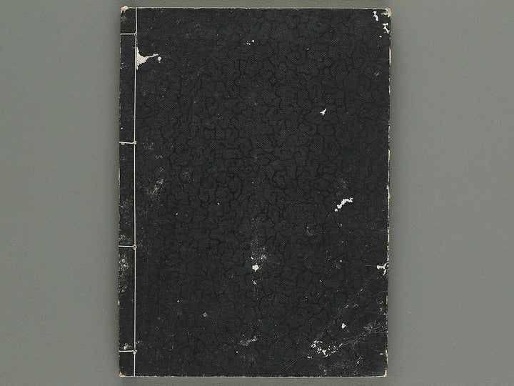 Iccho gafu (Chu) by Hanabusa Iccho / BJ343-637