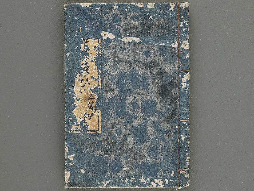 Naniwa no nigiwai Volume 3 by Matsukawa Hanzan / BJ315-364