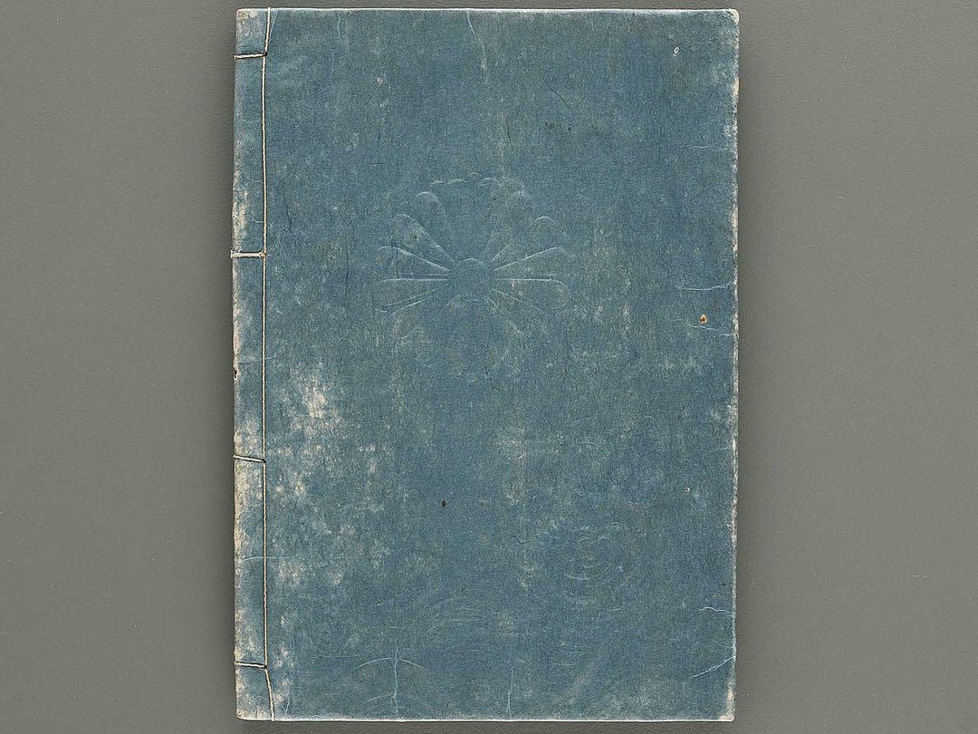 Ehon nankoki Volume 9 by Hayami Shungyosai / BJ335-482