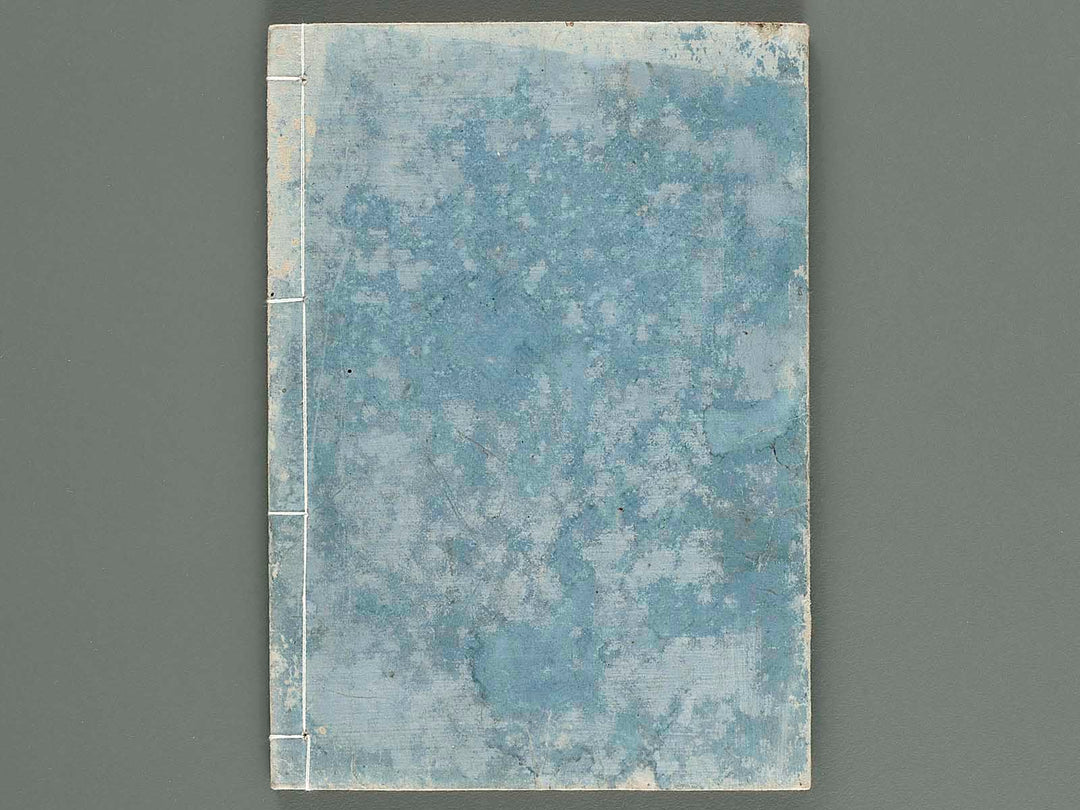 Riundan Vo.2 by Hasegawa Settan / BJ257-474