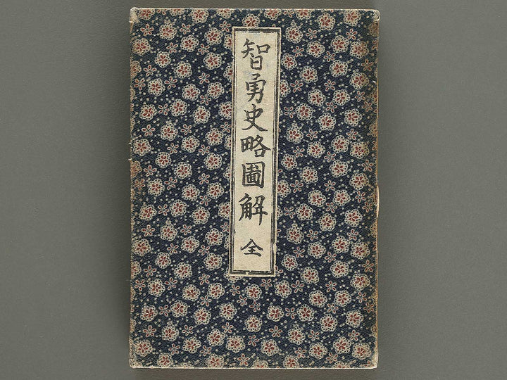 Chiyu shiryaku zukai by Ogata Koichi / BJ328-993