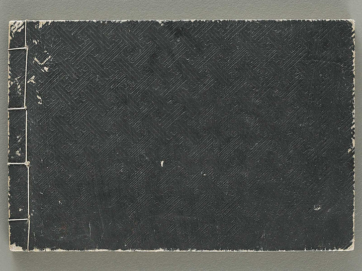 Wayo kaoku kentiku hinagata Volume 2 by Izumi Kojiro / BJ331-604