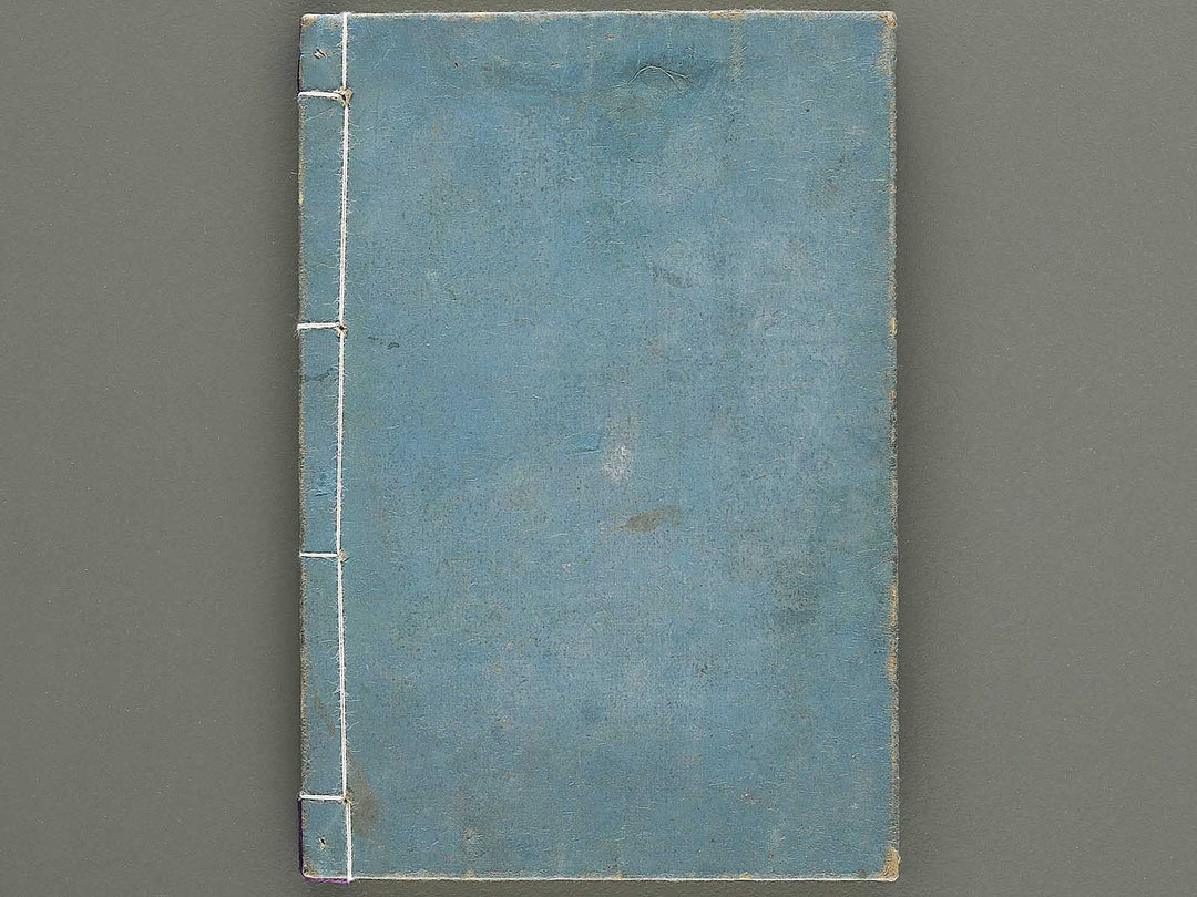 Shoryu hiden ikebana dokushu jizai Volume 6 / BJ332-766