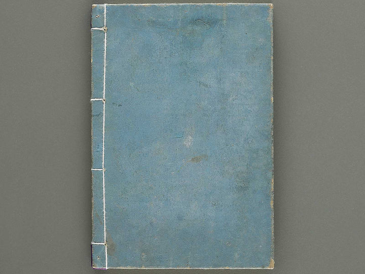 Shoryu hiden ikebana dokushu jizai Volume 6 / BJ332-766