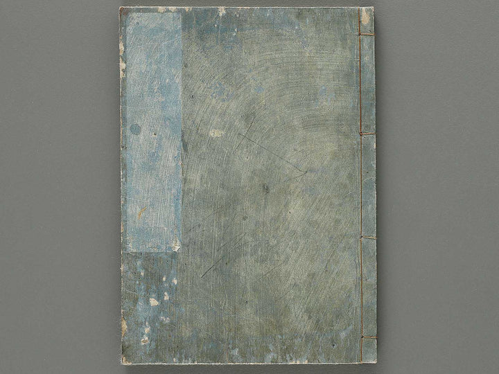 Edo shokubutsu zukan / BJ318-899