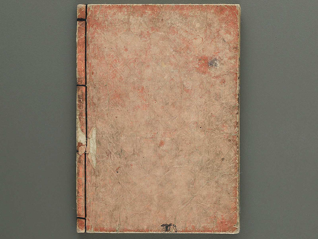 Nihon hyakushoden issekiwa Volume 2 by Yanagawa Shigenobu / BJ348-775