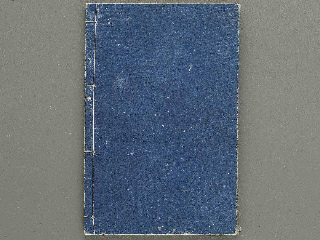 Meiji shinsen Tategu sukashi hinagata (Ge) / BJ335-265