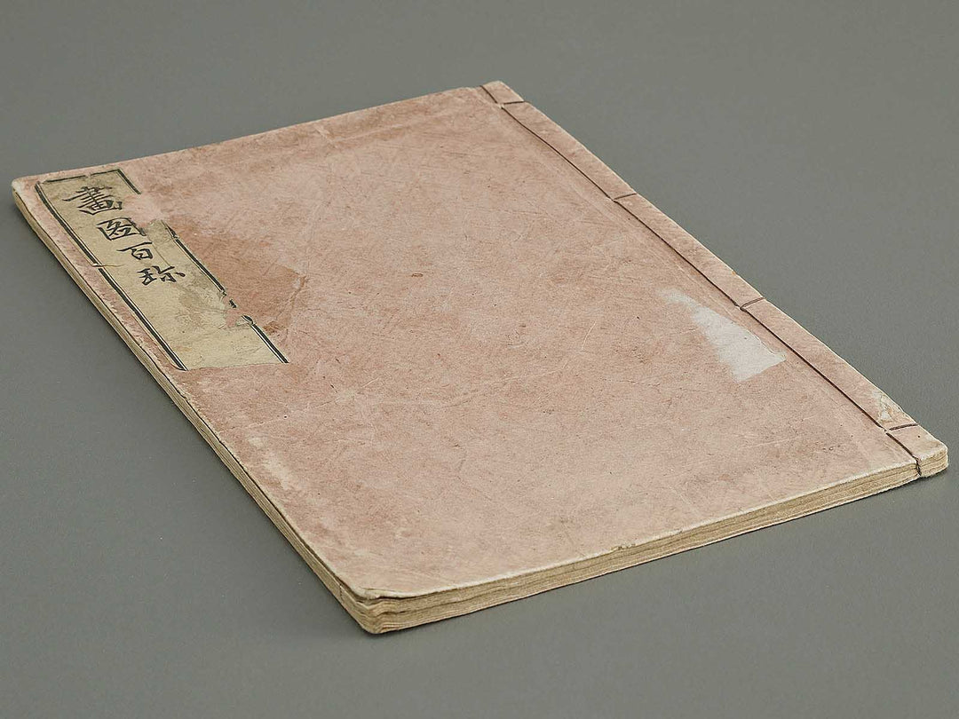 Gazu hyakuchin  / BJ334-600