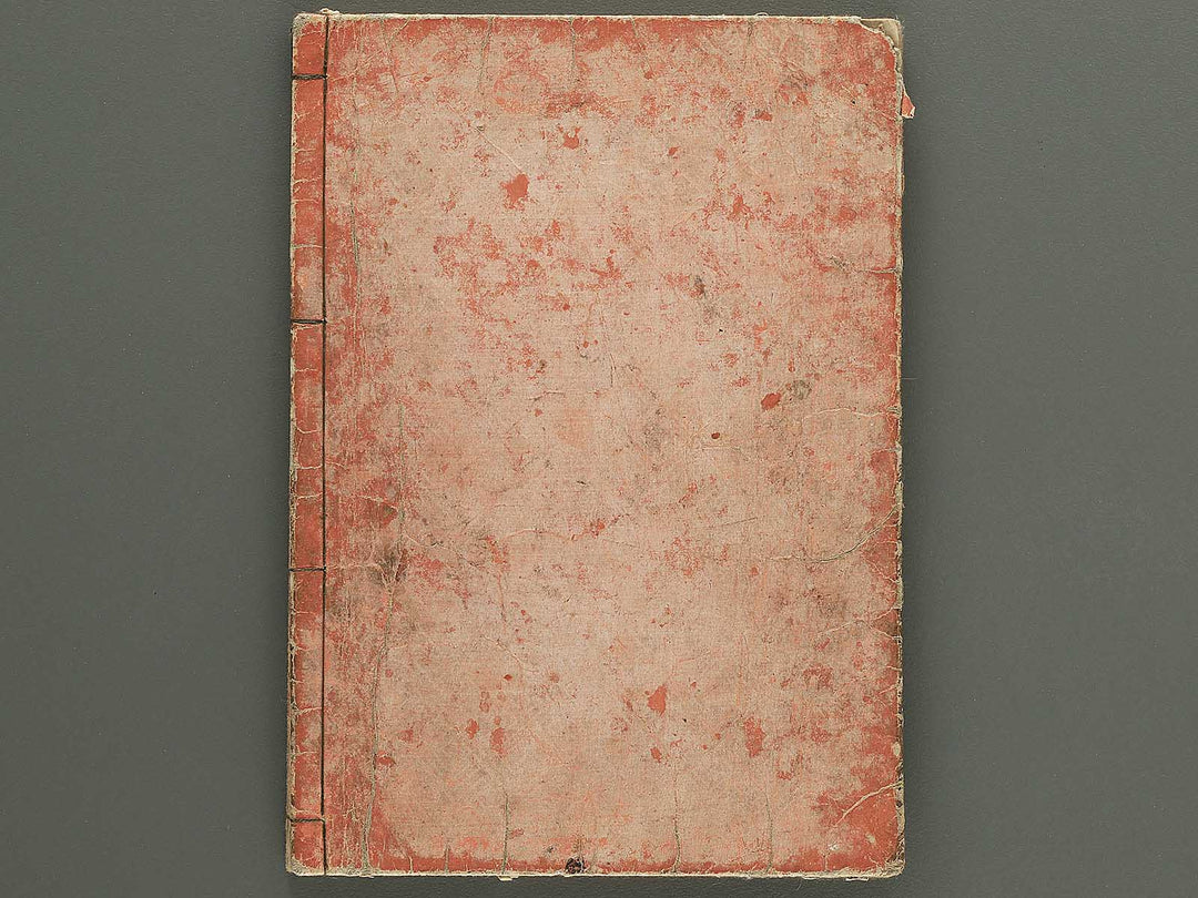 Nihon hyakushoden issekiwa Volume 5 by Yanagawa Shigenobu / BJ348-796
