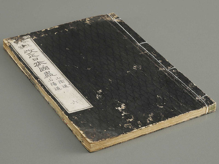 Kaisei nihon kuni zukushi Volume 6 / BJ330-400