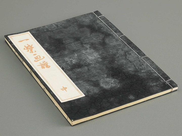 Iccho gafu (Chu) by Hanabusa Iccho / BJ350-679