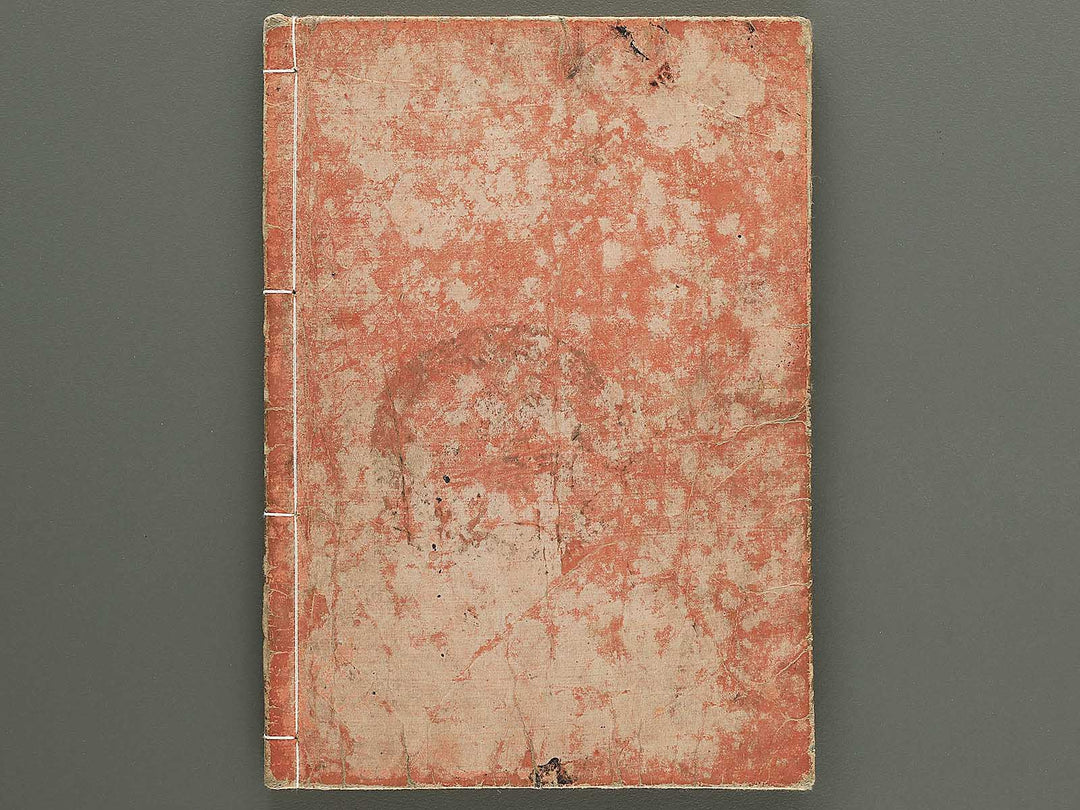 Nihon hyakushoden issekiwa Volume 6 by Yanagawa Shigenobu / BJ348-803