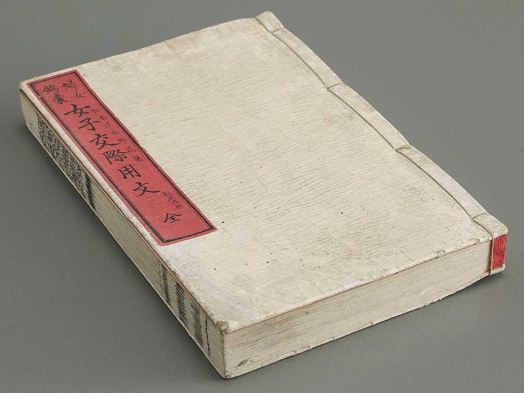 Fujo kinno joshi kousai yobun / BJ353-143
