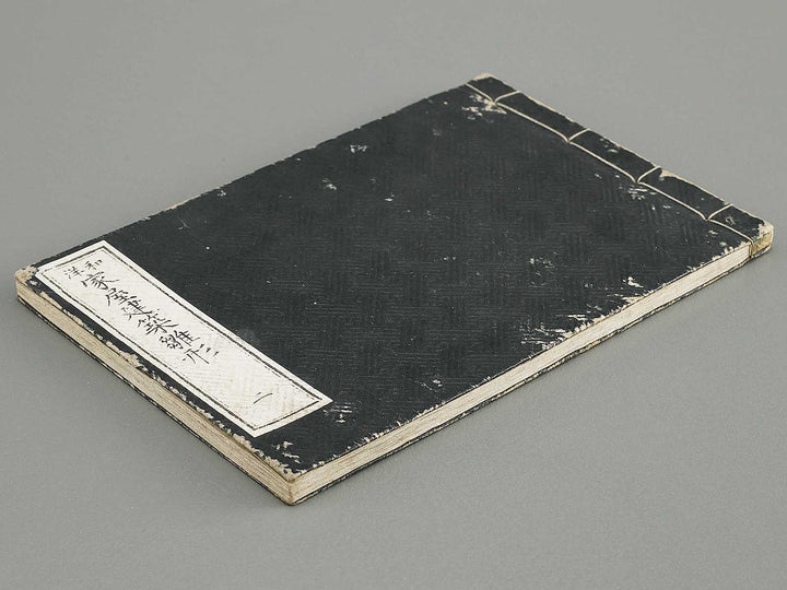 Wayo kaoku kentiku hinagata Volume 2 by Izumi Kojiro / BJ331-604