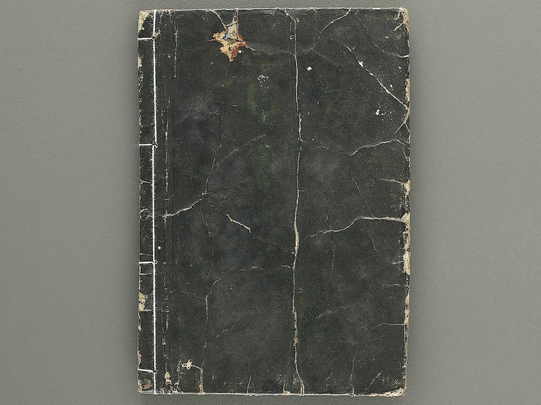 Ehon kanso gundan Part 1, Book 2 by Katsushika Hokusai / BJ349-013
