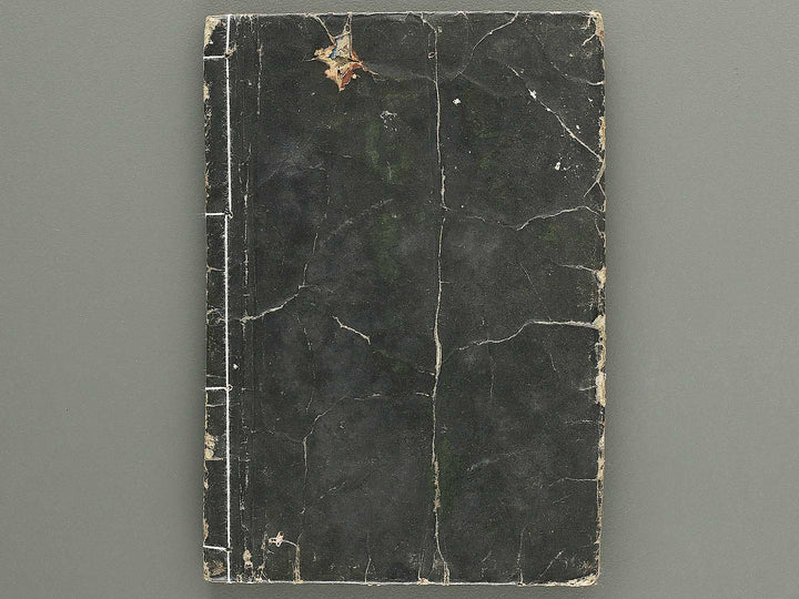 Ehon kanso gundan Part 1, Book 2 by Katsushika Hokusai / BJ349-013