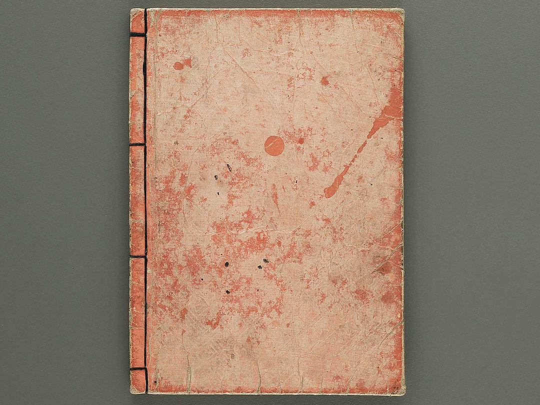 Nihon hyakushoden issekiwa Volume 8 by Yanagawa Shigenobu / BJ348-817