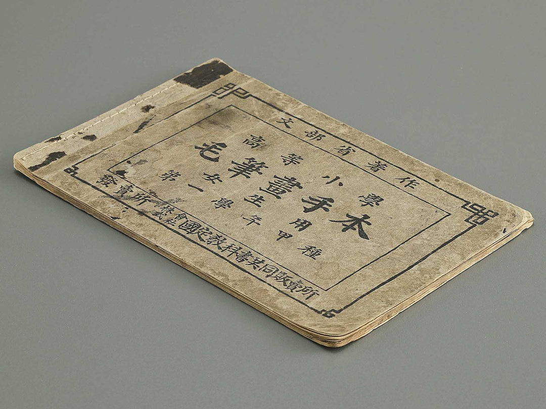 Koto shogaku mohitsuga tehon / BJ349-349