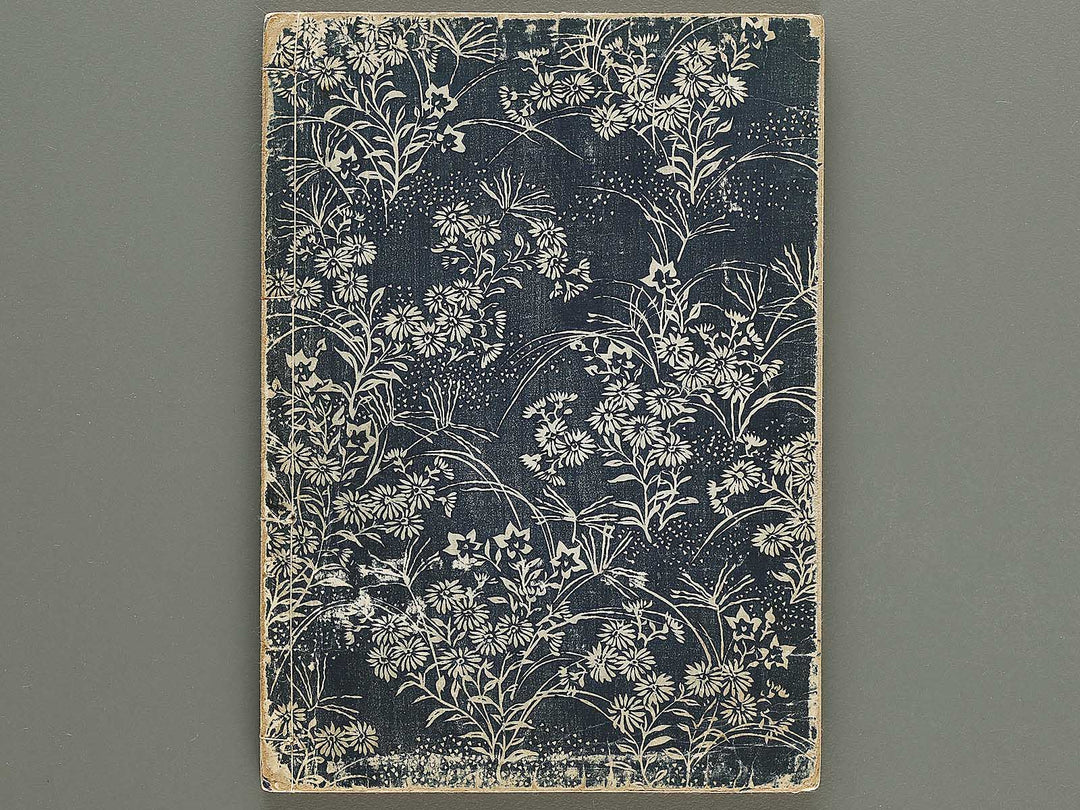 Nihon joso Volume 5 by Okumura Masanobu / BJ325-318