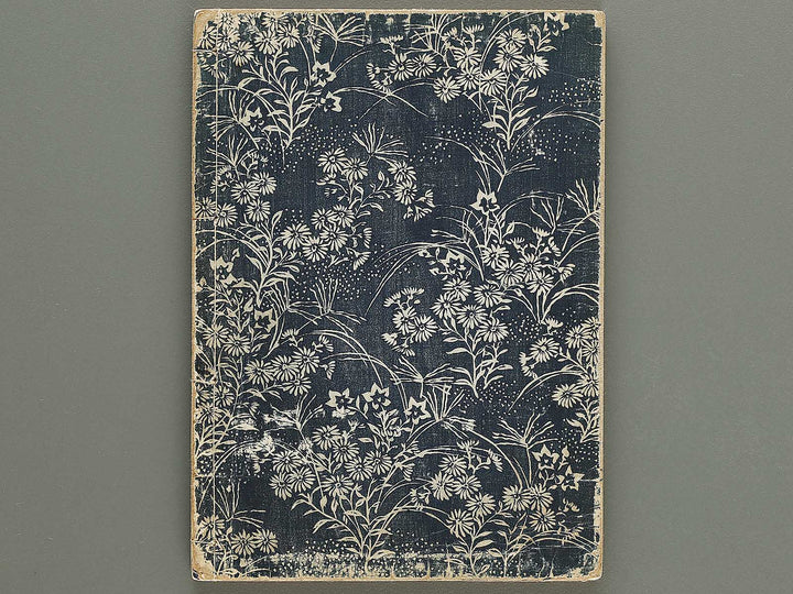 Nihon joso Volume 5 by Okumura Masanobu / BJ325-318