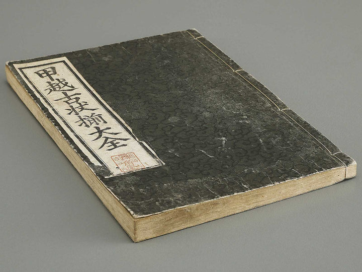 Koetsu kojo soroe taizen by Utagawa Yoshitsuna / BJ334-586