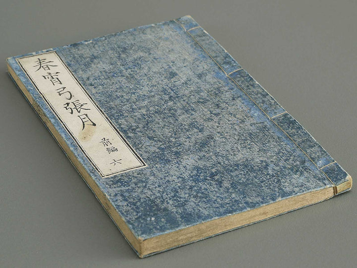 Shunyo yumiharizuki  Volume 11-12 by Utagawa Kuniteru / BJ343-287