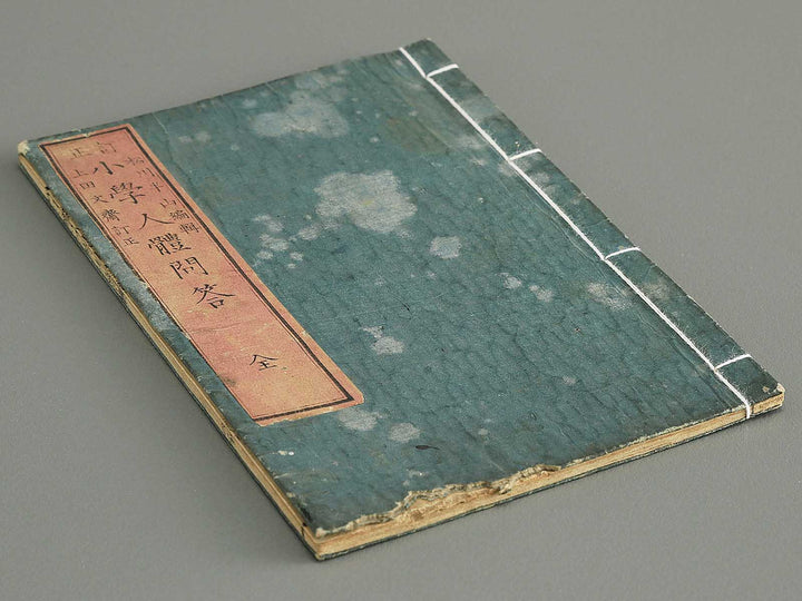 Teisei shogaku jintai mondo / BJ343-469