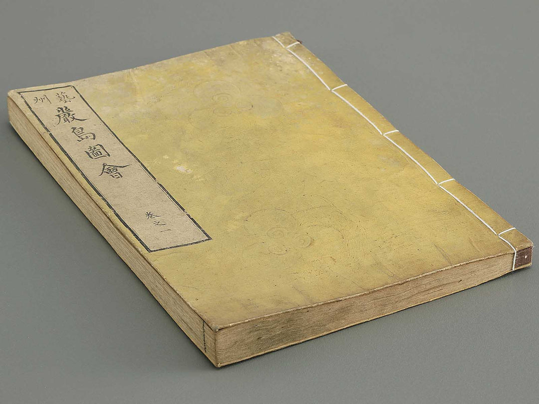 Itsukushima zue Volume 1 by Yamano Shunbosai / BJ345-205