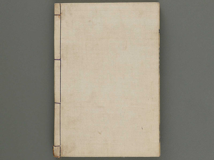 Nanso satomi hakkenden Volume 7 by Keisai Eisen / BJ316-288