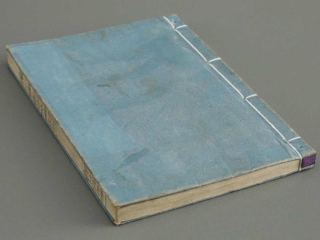 Shoryu hiden ikebana dokushu jizai Volume 6 / BJ332-766