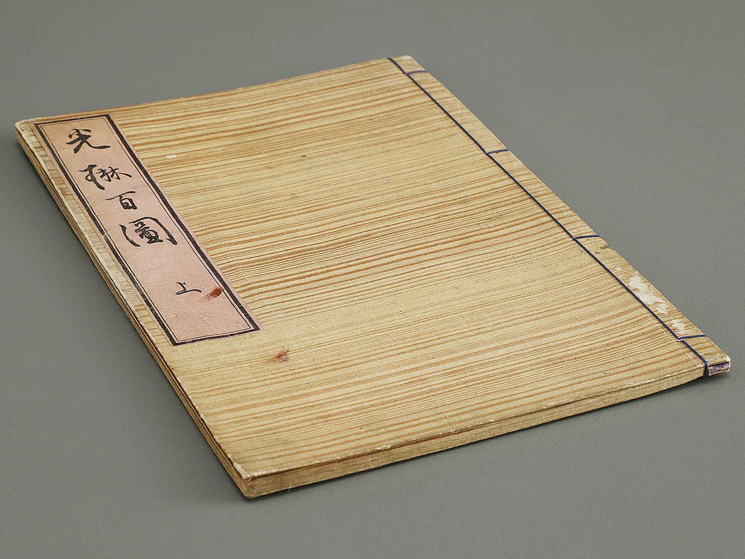 Korin hyakuzu (Jo) by Ogata Korin / BJ339-598