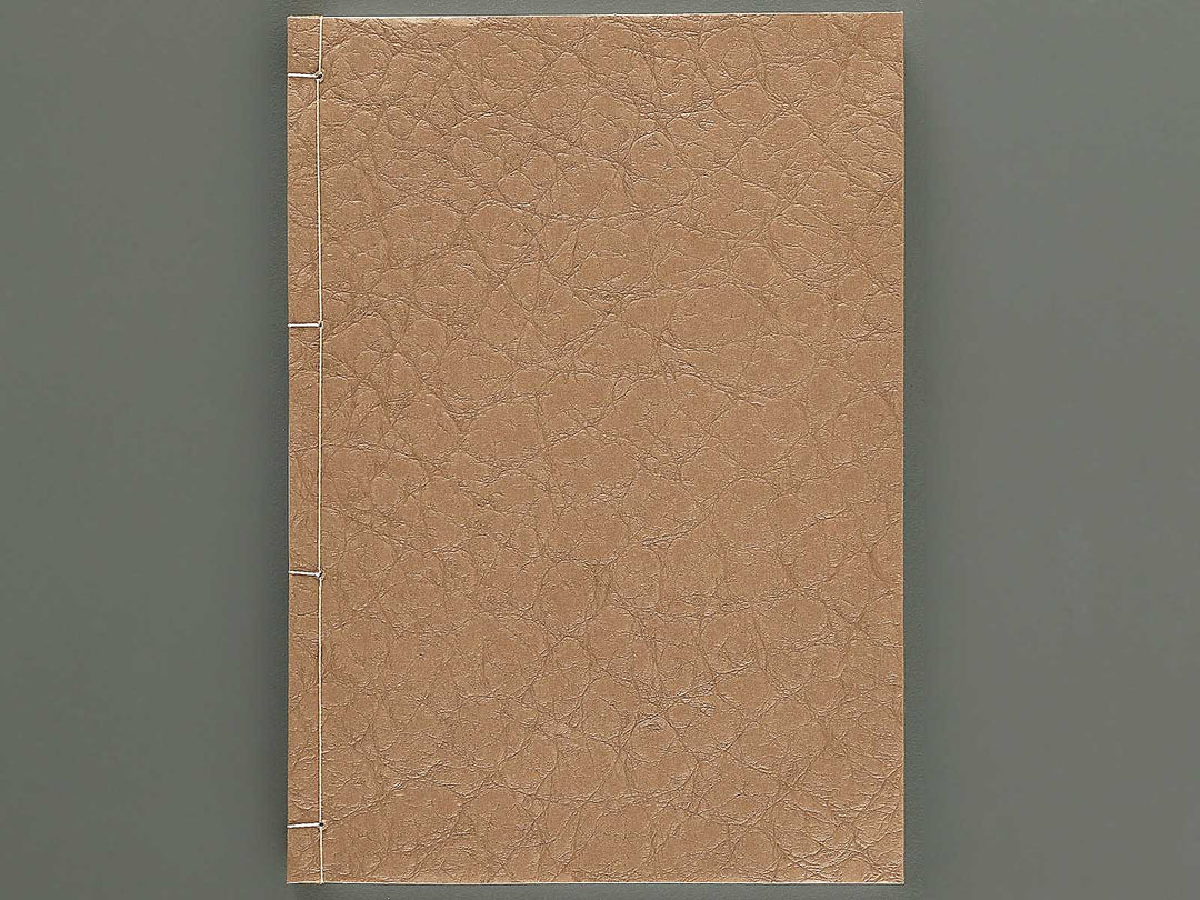 Ezoshi Fuji no yuki Volume 10 by Keisai Eisen / BJ346-472