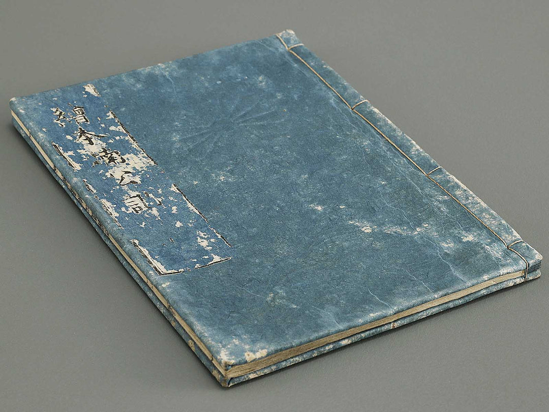 Ehon nankoki Volume 5 by Hayami Shungyosai / BJ335-426