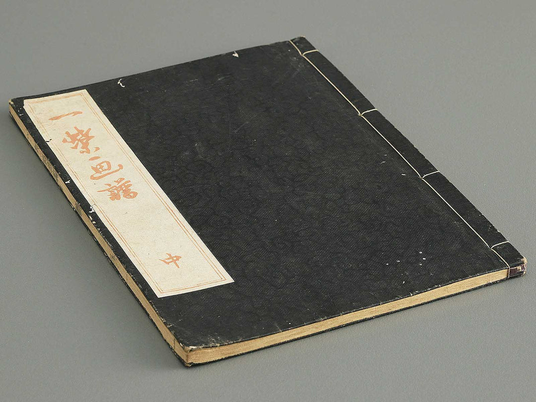 Iccho gafu (Chu) by Hanabusa Iccho / BJ343-637