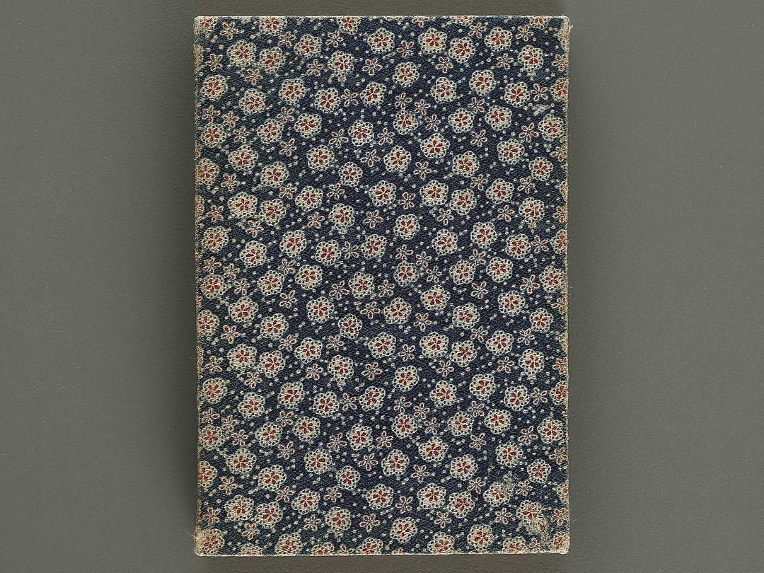 Chiyu shiryaku zukai by Ogata Koichi / BJ328-993