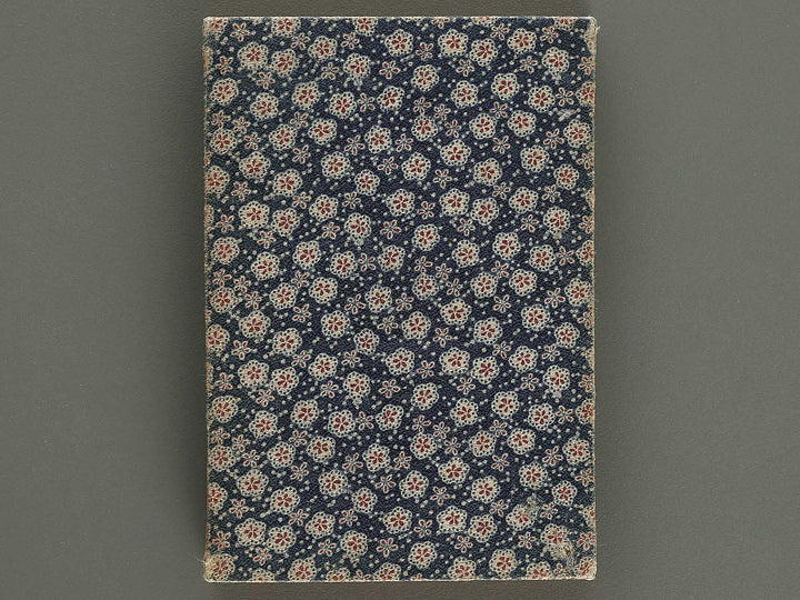 Chiyu shiryaku zukai by Ogata Koichi / BJ328-993