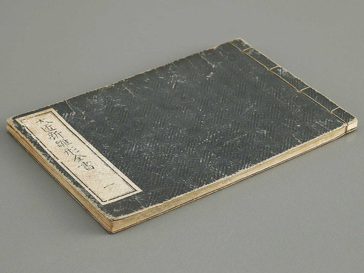 Taisho shin hinagata zensho Volume 1 / BJ337-995