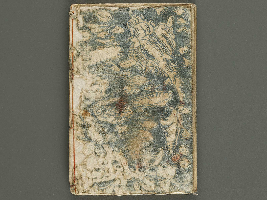 Iroasobi Ryogoku miyage Volume 2 by Utagawa-school / BJ326-291