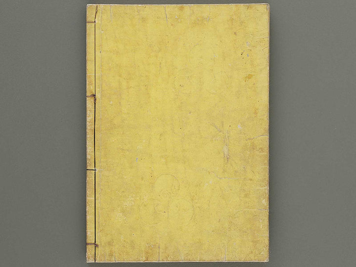 Itsukushima zue Volume 5 by Yamano Shunbosai / BJ311-710