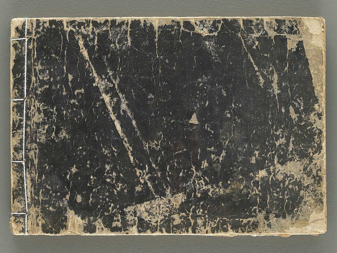 Kodai moyo shikizu ko (Ge) by Kano Motonobu, Katsushika Hokusai, Ogata Korin, Sakai Hoitsu, etc. / BJ354-165